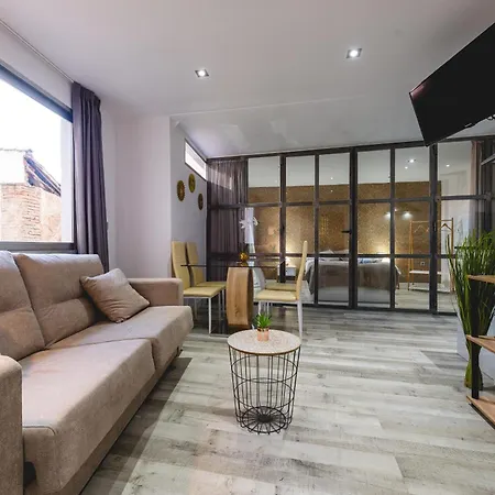 Centro Apartment Granada